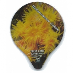 1.181 C - Unterwasser Leben /G