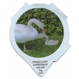 1.236 B - Schwäne /R