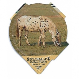 1.256 B - Pferge II /R