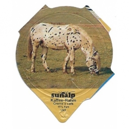 1.256 C - Pferge II /R