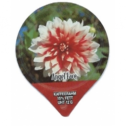 1.274 B - Dahlien /G