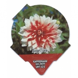 1.274 C - Dahlien /R