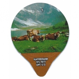 1.276 C - Braunvieh /G