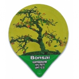 1.283 B - Bonsai II /G