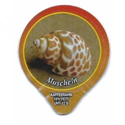 1.285 A - Muscheln III /G