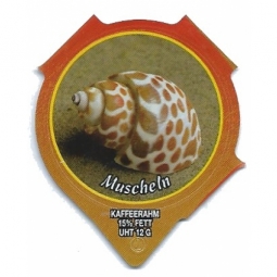 1.285 B - Muscheln III /R