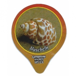 1.285 C - Muscheln III /G