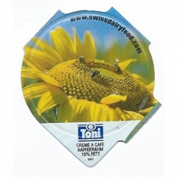 3.164 B - Sonnenblumen