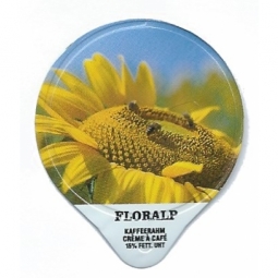 3.164 C - Sonnenblumen