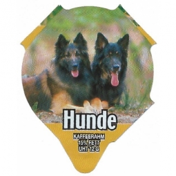 7.358  Hunde /R