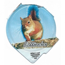 3.194 D - Eichhörnchen