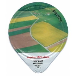 4.103 C -  Rapsfelder