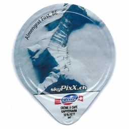 4.117 D - Schweizer Berge