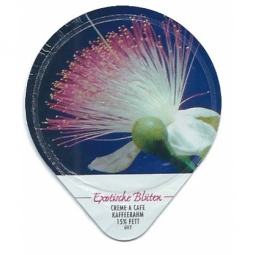 453 B - Exotische Blueten