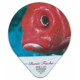 465 B - Bunte Fische