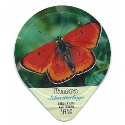 444 A - Schmetterlinge III