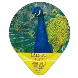 440 C - Bunte Vogelwelt