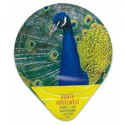 440 D - Bunte Vogelwelt