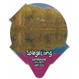 7.293  Spiegelung /R