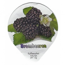 8.100 B - Brombeeren