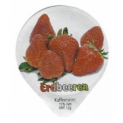 8.101 B - Erdbeeren