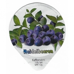 8.102 B - Heidelbeeren