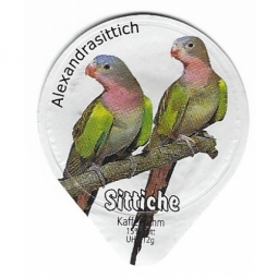 8.111 B - Sittiche