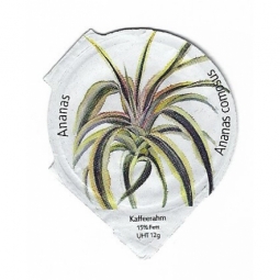 8.145 - Zierpflanzen /R