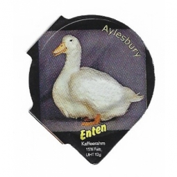 8.187 A - Enten /R