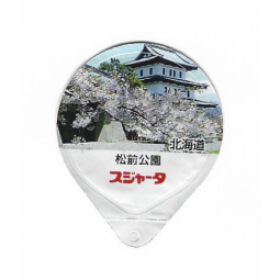 Japan - Kirschblüten III