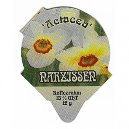 PS 08/02 A - Narzissen /R