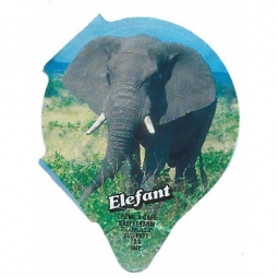 7.162  Elefant /R