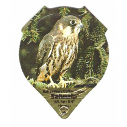 A-10 B - Wildtiere /R