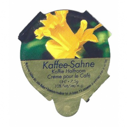 D-94 A - Frühlingsblumen /R