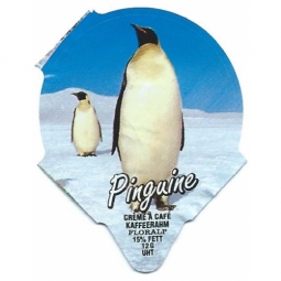 7.186  Pinguine /R