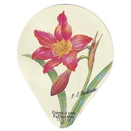 412 B - Blumen und Früchte /SP