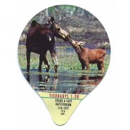 7.111 - Tierbabys /G