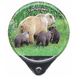 1.619 C - Tierfamilien