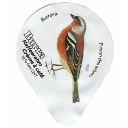 406 AA - Vögel-matt