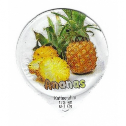 8.162 A - Ananas /G
