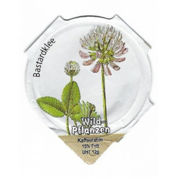 8.157 A - Wildplanzen /R