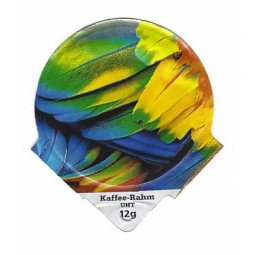 6.322 B - Colorad Word