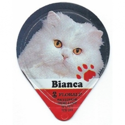 575 A - Katzenkinder