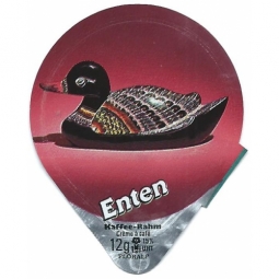 563 A - Enten /R