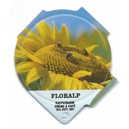 3.164 D - Sonnenblumen