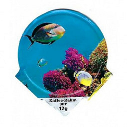 6.354 B - Animaux Marins