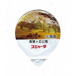 Japan - Kirschblüten 2021