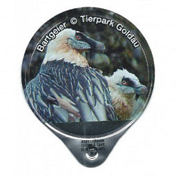 1.563 C - Tierpark Goldau