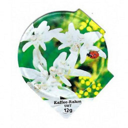 6.357 B - Fleurs des Alpes