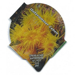 1.181 B - Unterwasser Leben /R